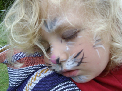 Parfois bercé le chaton dort