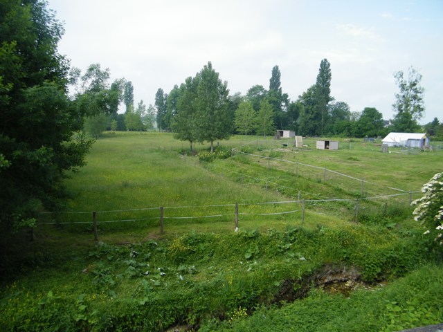 agriculture