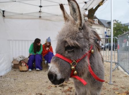 st-nicolas8 les fées de la ferme enchantée et Galoupy